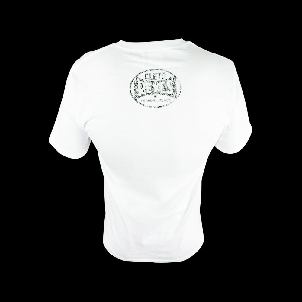 CAMISETA ALGODON EVOLUCION BOXEO GRIS - LagunaSport